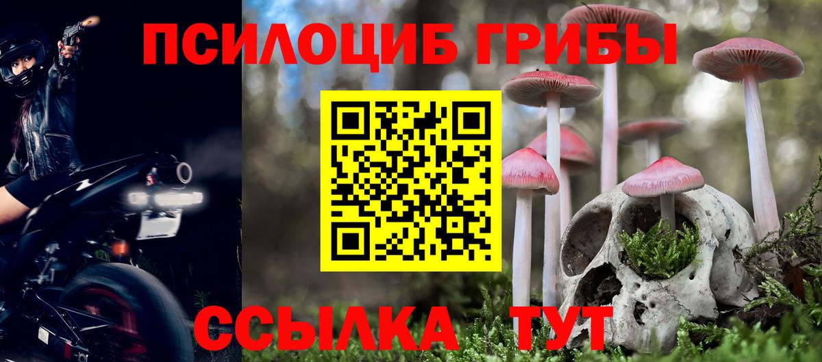 Галлюциногенные грибы ЛСД Усть-Джегута